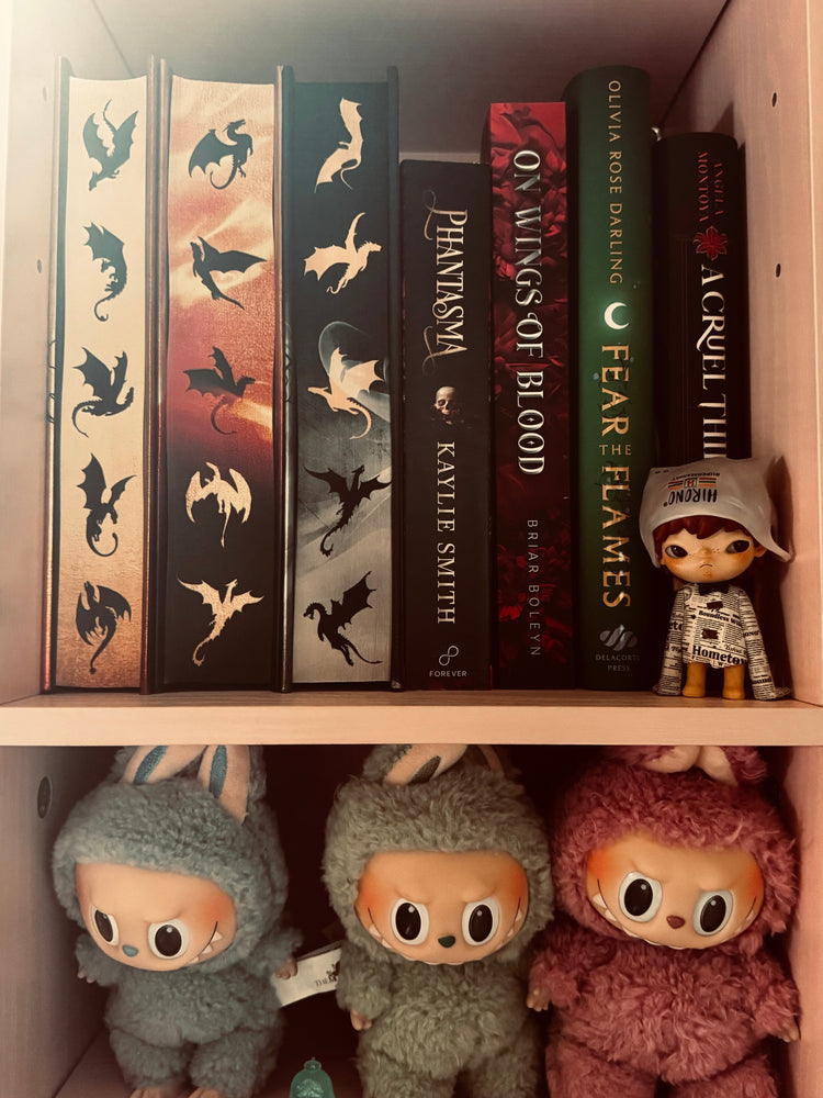Books on a shelf with plush toys and figurines 